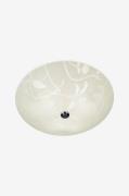 Aneta Lighting - Plafond ANETA BLADVERK - Hvid - Plafonder - - Homeroo...