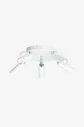 Belid - 5-spot Cato Slim rund - Hvid - Spotlights - - Homeroom