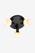 Nordlux - Spotlight Milford - Sort - Spotlights - - Homeroom