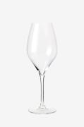 Rosendahl - Champagneglas Premium 37 cl 2 stk. - Transparent - Vinglas...