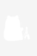 Star Trading - Natlampe Capybara Functional LED - Hvid - Børnelamper -...