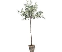 Lene Bjerre Kunstig Oliventræ - 160 cm