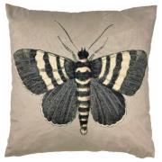 Vanillafly pude - black butterfly - 50x50 - inkl fyld