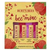 Burt's Bees Bee Mine Lip Balm 4pcs