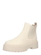 STEVE MADDEN Chelsea Boots  beige