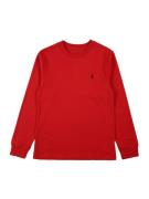 Polo Ralph Lauren Shirts  rød