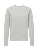 Petrol Industries Sweatshirt 'Essential'  grå-meleret