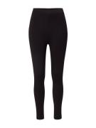 Guido Maria Kretschmer Women Leggings  sort