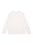 Polo Ralph Lauren Shirts  sort / hvid