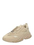 STEVE MADDEN Sneaker low 'Possesionr'  nude / sort / transparent