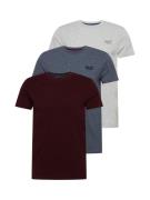 Superdry Bluser & t-shirts  dueblå / grå-meleret / bordeaux