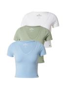 HOLLISTER Shirts  lyseblå / khaki / hvid