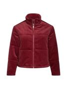 Urban Classics Overgangsjakke 'Corduroy Puffer Jacket'  burgunder