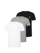 TIMBERLAND Bluser & t-shirts  grå-meleret / sort / offwhite