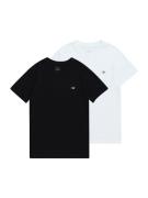 GANT Shirts  sort / hvid