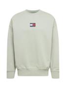Tommy Jeans Sweatshirt  navy / pastelgrøn / brandrød / hvid
