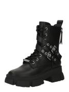 STEVE MADDEN Boots 'TRACTION'  sort