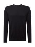 SELECTED HOMME Pullover 'Berg'  sort