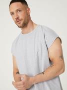 DAN FOX APPAREL Bluser & t-shirts 'Theo'  lysegrå