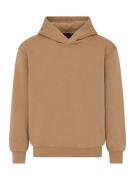 Kabooki Pullover 'SHAYNE 100'  brun