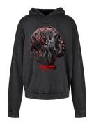 MT Upscale Sweatshirt 'Flying High'  grå / mørkegrå / rød / sort
