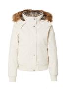 HOLLISTER Vinterjakke  beige