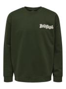 Only & Sons Sweatshirt 'PINK FLOYD'  lysegrå / mørkegrøn