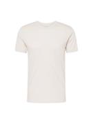 Abercrombie & Fitch Bluser & t-shirts 'ELEVATED'  greige
