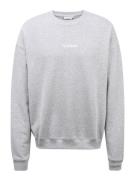Youman Sweatshirt 'Casper'  grå-meleret