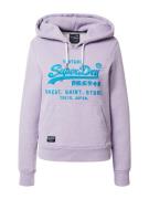 Superdry Sweatshirt  lyseblå / lilla