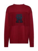 TOMMY HILFIGER Pullover  rød / sort