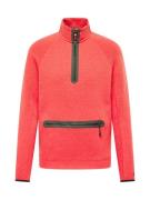 Nike Sportswear Sweatshirt  grå-meleret / rødmeleret