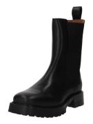 Tiger of Sweden Chelsea Boots 'BOLINIARIA'  sort