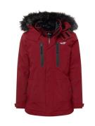 HOLLISTER Vinterparka  burgunder / sort