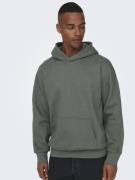 Only & Sons Sweatshirt 'Dan'  gran