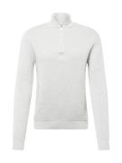 SELECTED HOMME Pullover 'SLHDane'  lysegrå