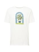 Volcom Bluser & t-shirts 'Delights Farm To Yarn'  blå / siv / sort / h...