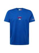 Champion Authentic Athletic Apparel Bluser & t-shirts  blå / rød / hvi...