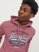 JACK & JONES Sweatshirt  marin / eosin / hvid