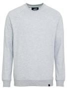 Denim Project Sweatshirt  grå
