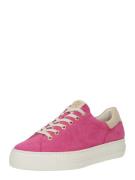 Paul Green Sneaker low '5320-045'  beige / pink