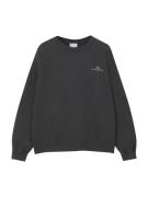 Pull&Bear Sweatshirt  mørkegrå / hvid