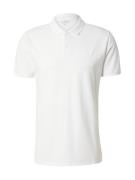 HOLLISTER Bluser & t-shirts  hvid