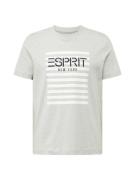 ESPRIT Bluser & t-shirts  lysegrå / sort / hvid
