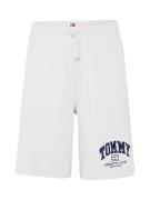Tommy Jeans Bukser 'Athletic'  navy / grå / rød / sort / hvid