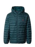 LEVI'S ® Overgangsjakke 'Presidio Pkbl Hooded Jkt'  petroleum / rød / ...