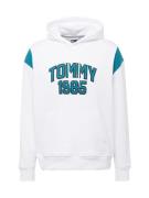 Tommy Jeans Sweatshirt  petroleum / sort / hvid