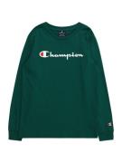 Champion Authentic Athletic Apparel Shirts  blå / grøn / rød / hvid