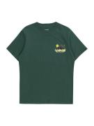 VANS Shirts 'SPACE CAMP SS'  gul / mørkegrøn / sort / hvid