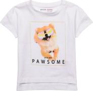 MINOTI Bluser & t-shirts 'Pawsome'  lyseorange / lys pink / sort / hvi...